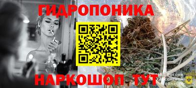 бошки Вязьма