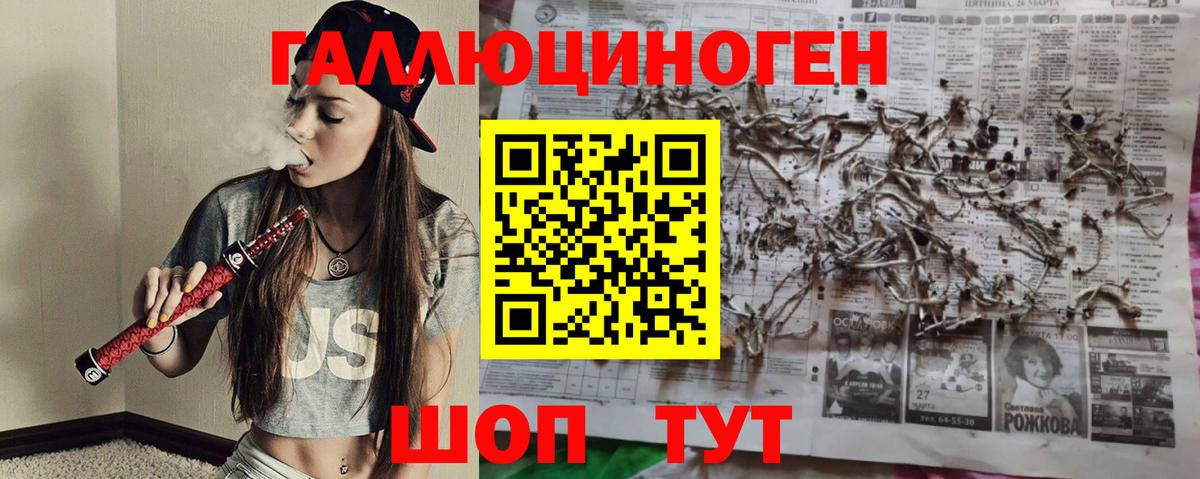 Кировск  Галлюциногенные грибы Magic Shrooms  Вход с VPN 